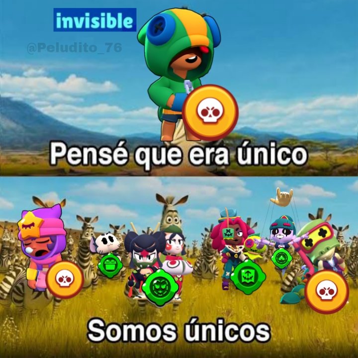 💤 Peludito 76 💤 (@peludito_76) on Twitter photo 