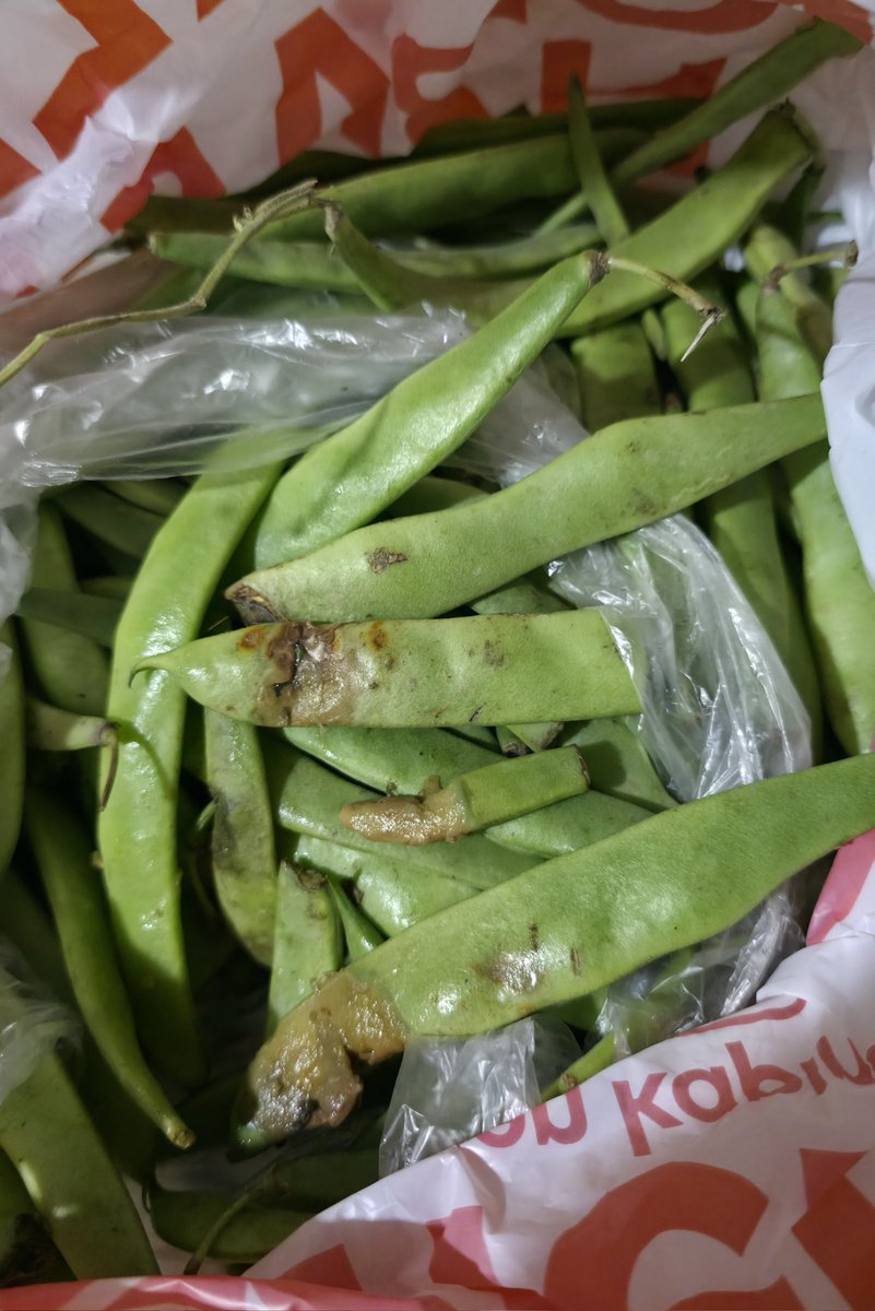 Migros sanal market üzerinden sipariş verdiği ürün çürük çıkan bir takipçimiz:

''Her sanal siparişte özellikle not yazmama rağmen çürük sebze, bozuk ürün mutlaka geliyor. Müşteri hizmetlerinin her seferinde 'ilettik' ezberiyle geçiştirmesi, 20 gün sonra mağazadan 'iadeniz