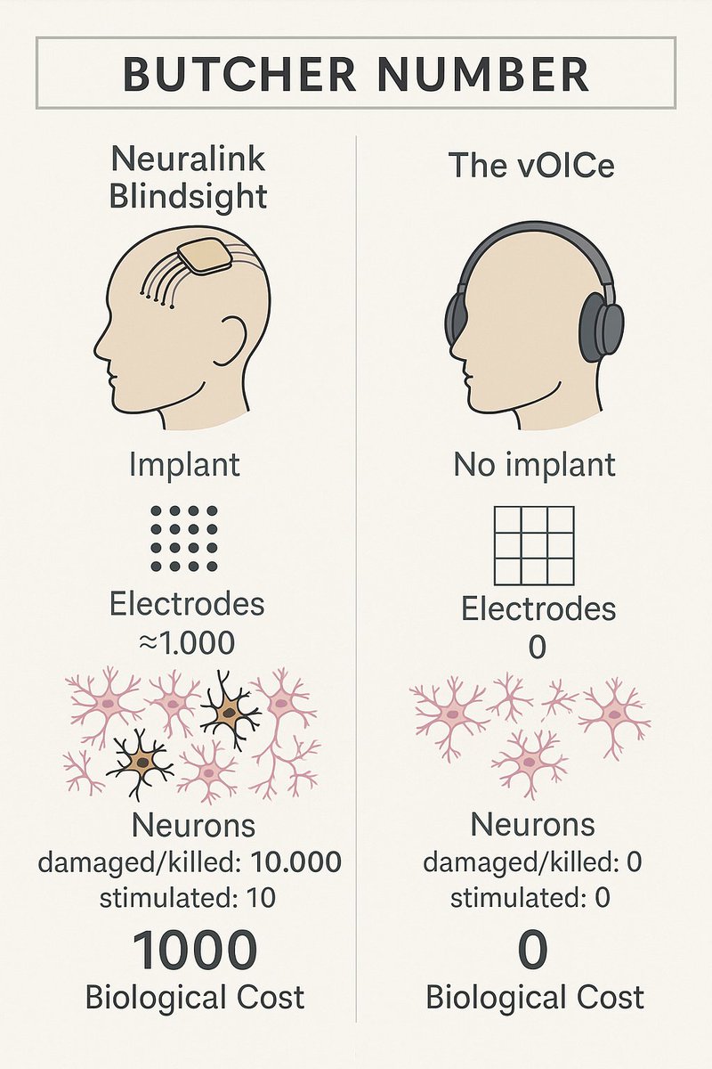 seeingwithsound's tweet photo. To ChatGPT: What will be the likely "Butcher number" of a Neuralink Blindsight brain implant in visual cortex? Butcher number (Meister, 2019): the number ratio of damaged or killed neurons and stimulated or recorded neurons. https://t.co/UCpH3Y6l3X #BCI #NeuroTech https://t.co/1a0M1gMtVU