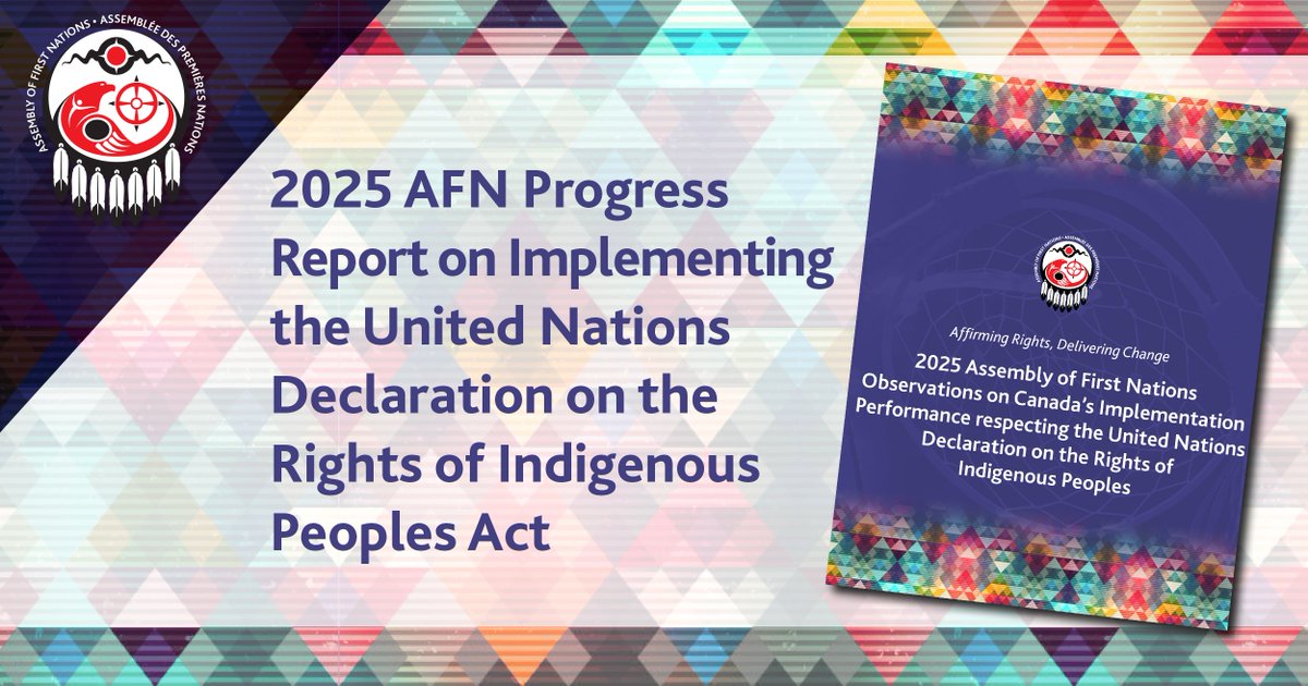 It's been three years since Canada launched the UN Declaration on the Rights of Indigenous Peoples Act (UNDA) Action Plan, and today the Assembly of First Nations released its Progress Report. The report evaluates Canada’s efforts in implementing 130 Shared Priorities and First