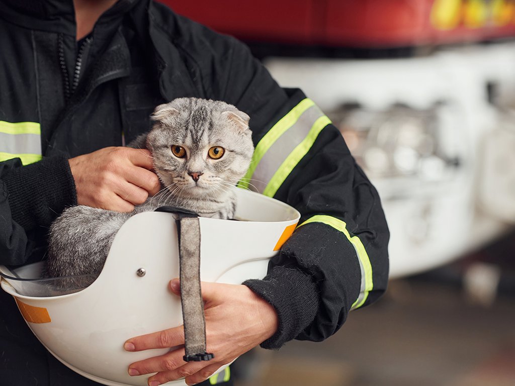 Home fires affect more than 500,000 pets each year, with over 40,000 lives lost, according to the AVMA.

Dr. Kyle Johnson shares how to protect your home, your pets, and how to respond in an emergency.

Read more at vetmed.tamu.edu/news/pet-talk/….

#TAMUVetMed