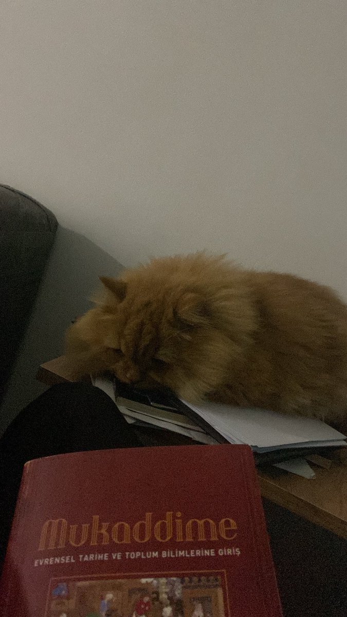 Buhtunnasr bölümüne gelmişizdir :)