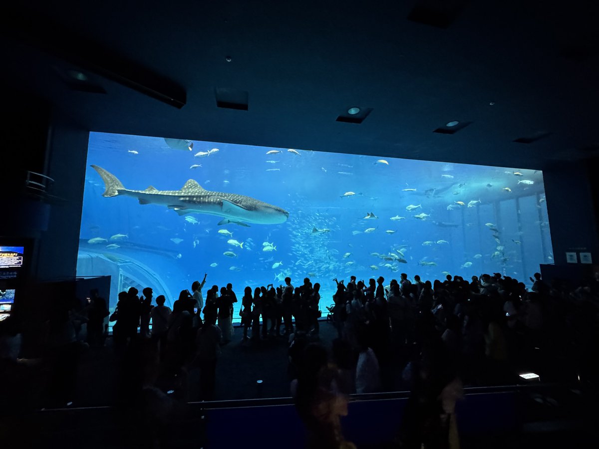 Trax / SewDog 🔜 NFC/FWA tweet media