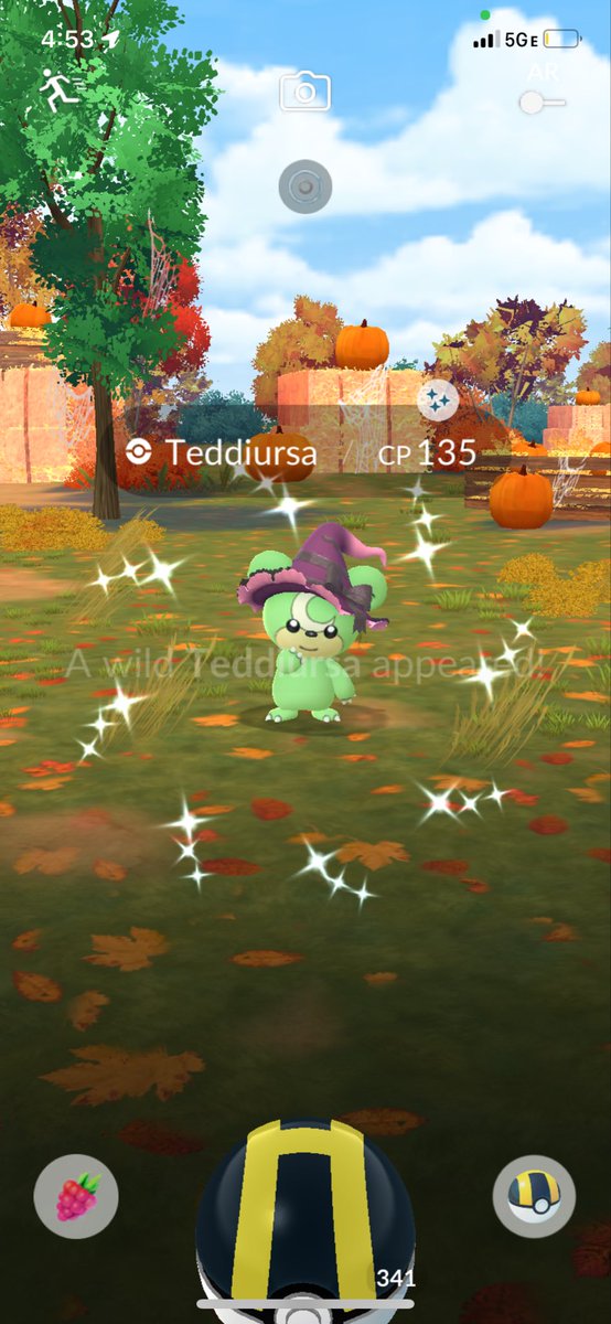 PokehunterAL's tweet image. He's just adorable 🥰