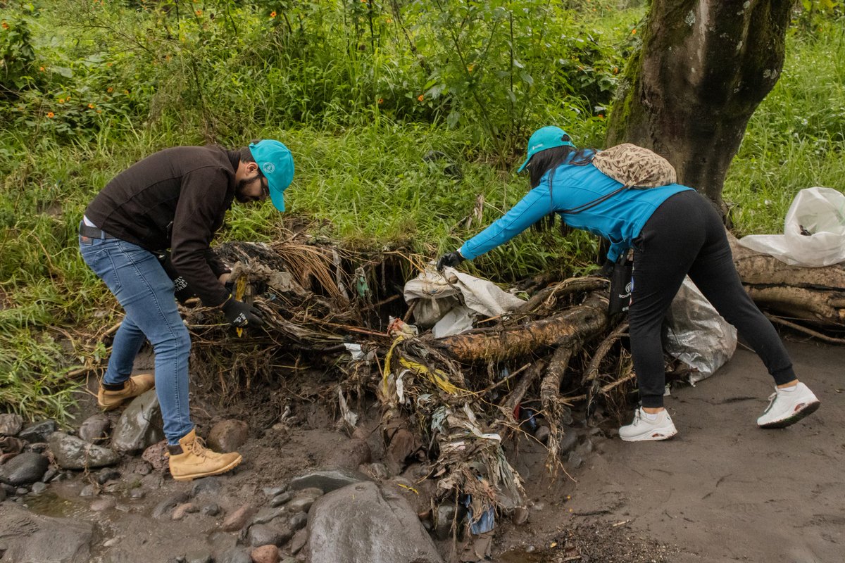 ichthion's tweet image. Realizamos una minga de limpieza en el Río San Pedro con @dongfeng_ecu by @MaresaCenter.

Su compromiso con la sostenibilidad refleja el impacto de las empresas con propósito.

Recibimos también a representantes de Dongfeng Motor Industry, quienes conocieron Galápagos Guardians.