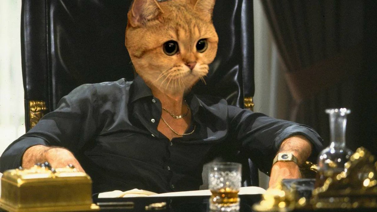 what if $STARECAT emerges from the bloody market as one of the top cat community coins?

there are many reasons why this could happen, as highlighted by <a href="/altfocused/">Focus 专注</a> here.

something to consider.