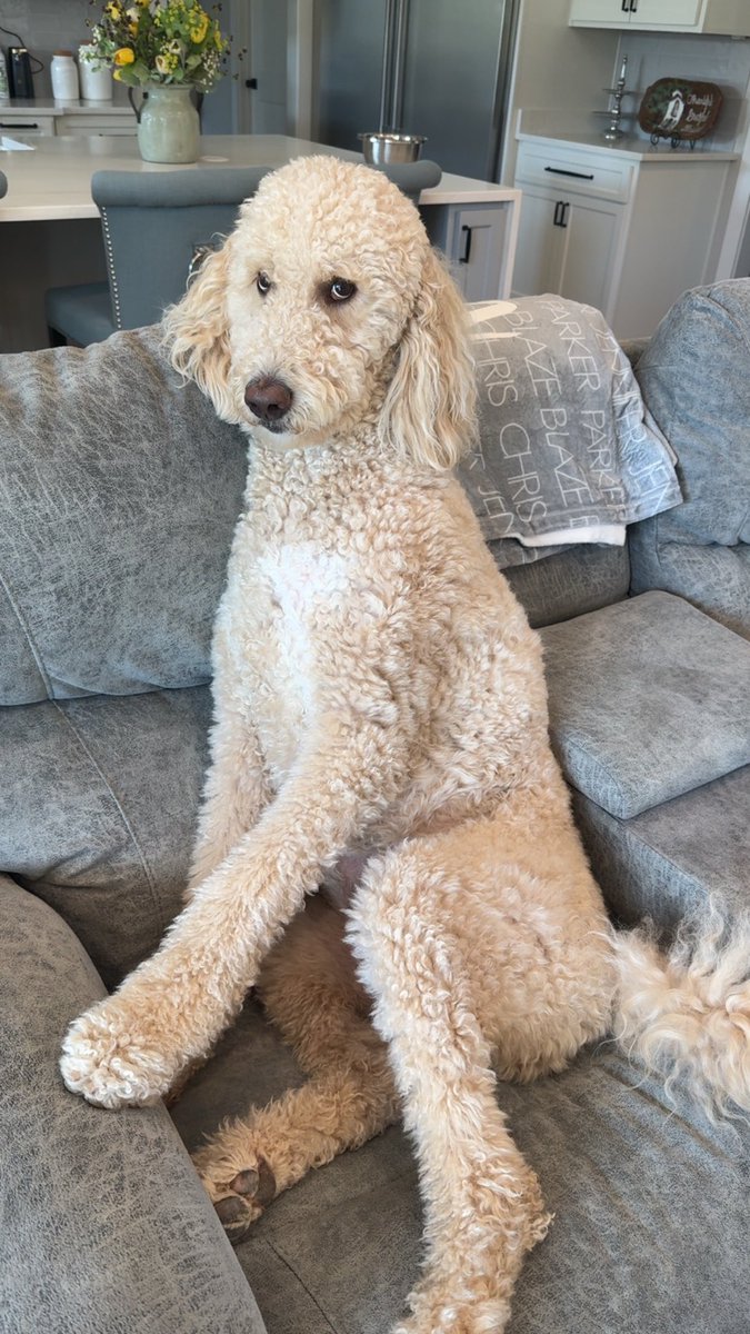 Why are you looking at me like this Louis