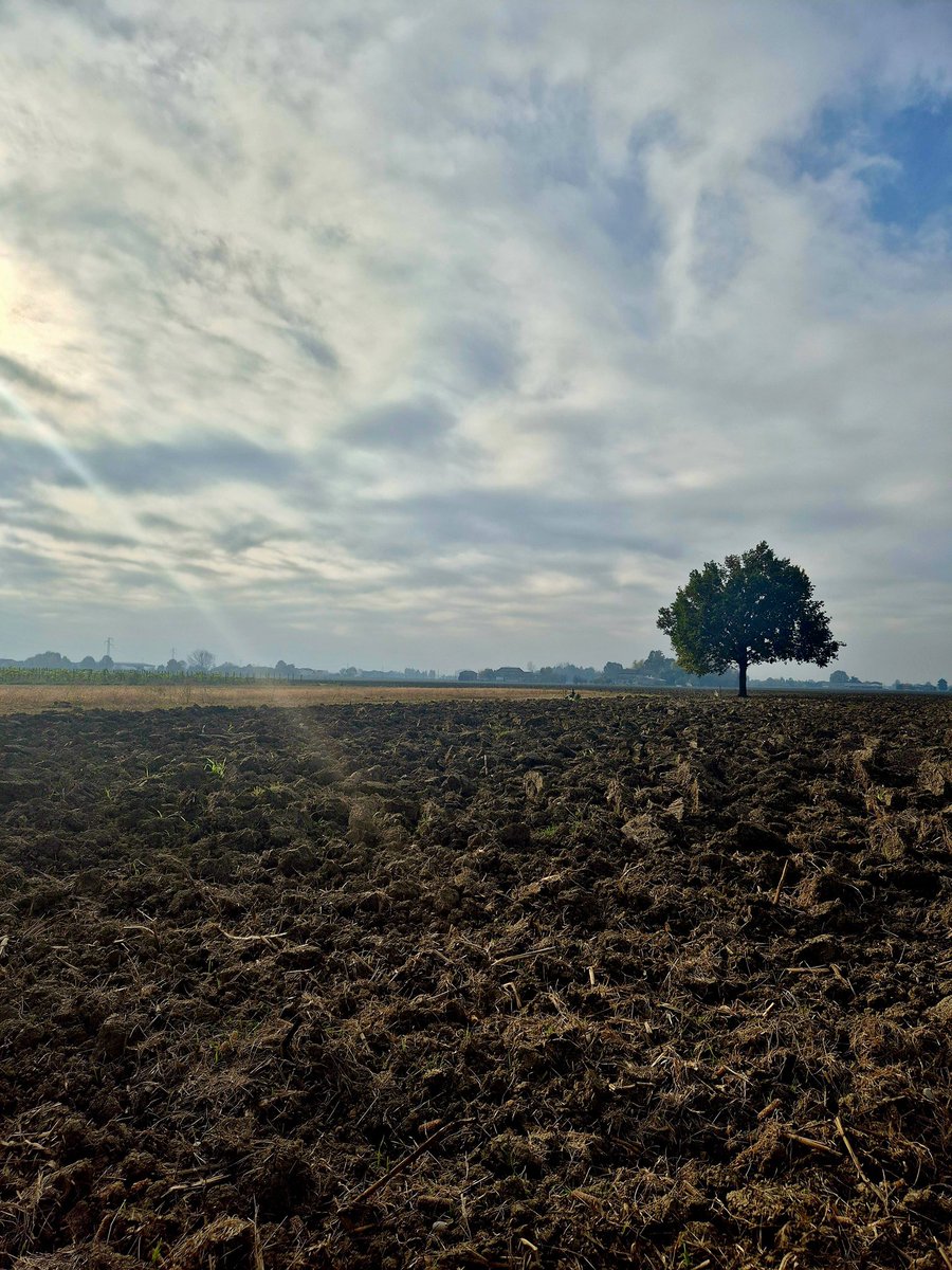 La stagione della terra scaravoltata 

📷 Novellara, bassa reggiana
