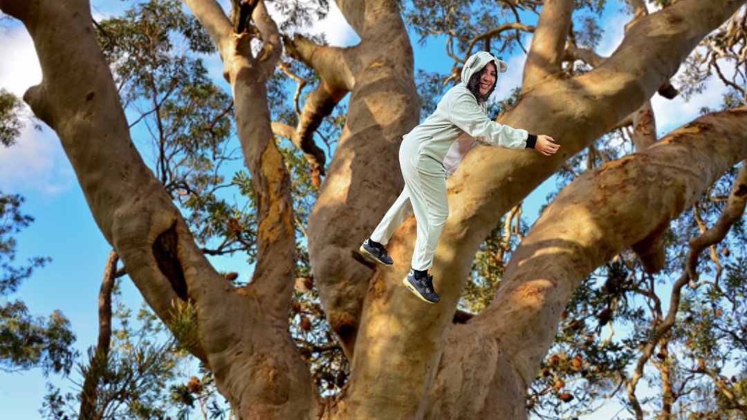 AMPT: Advancing Nonprofits tweet media