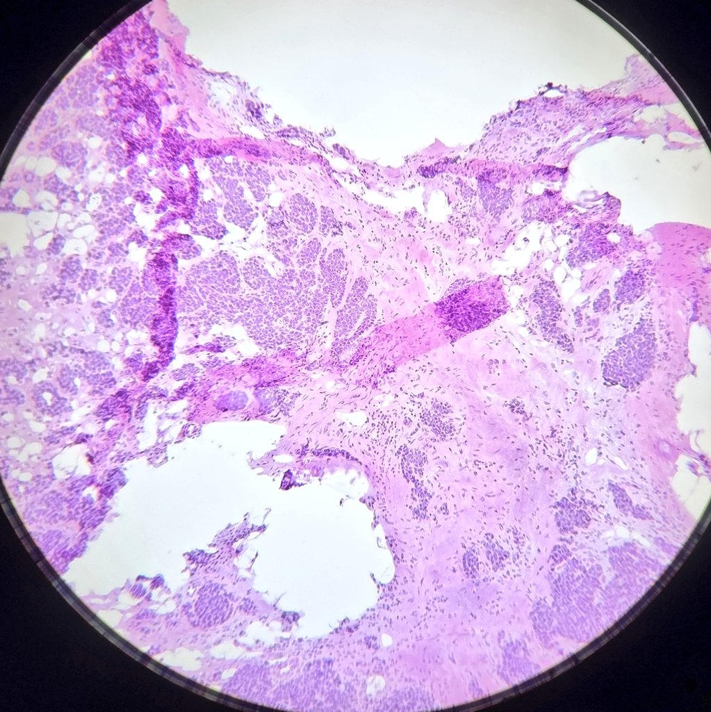 Jaclyn Rudzinski, MD tweet media