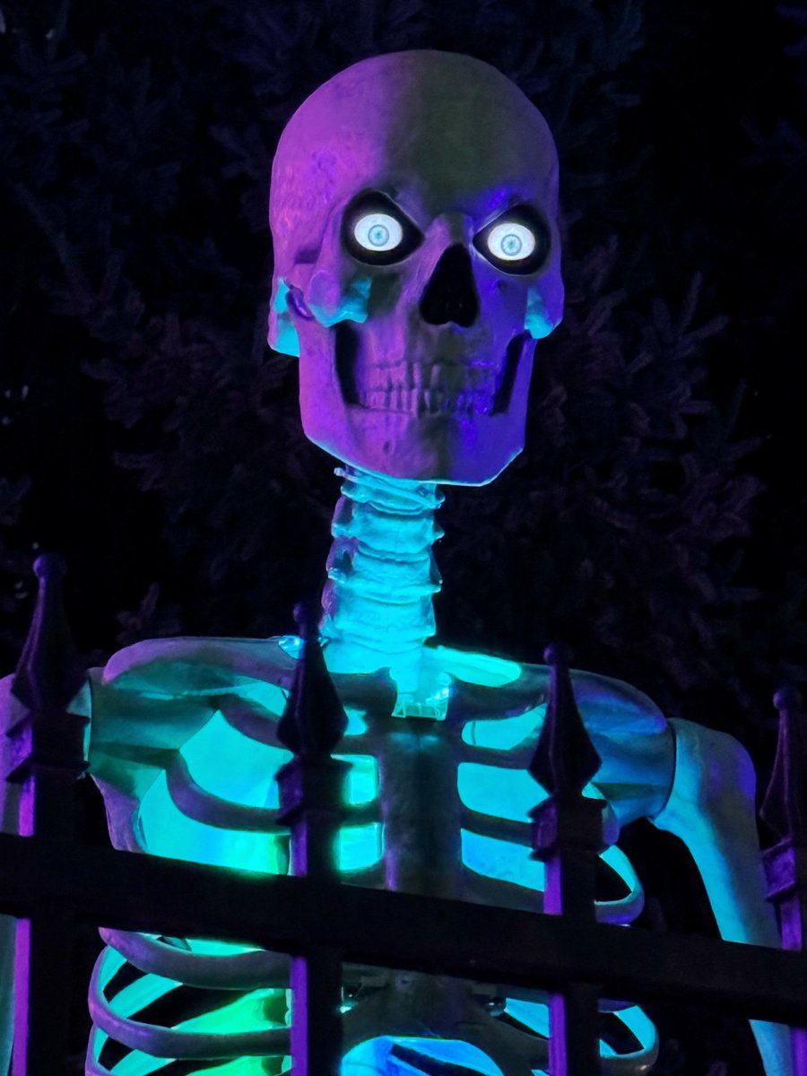 SamcPonsce's tweet image. ハロウィンがやってきたよ〜🍬
お菓子も仮装もパーティーも、ぜんぶ欠かせないよね〜！