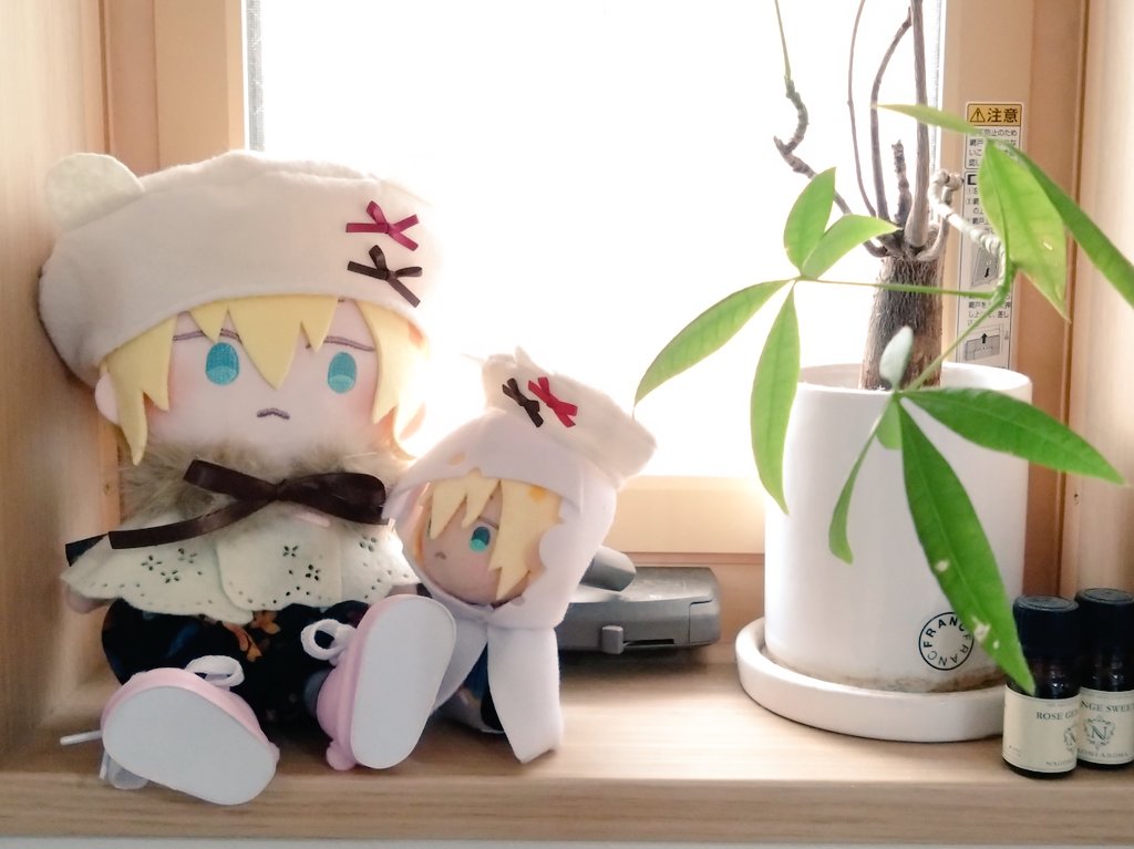 あすなページ あおな＠11/16閃華 東6-厶03ab (@7740nanasio) / Posts / X