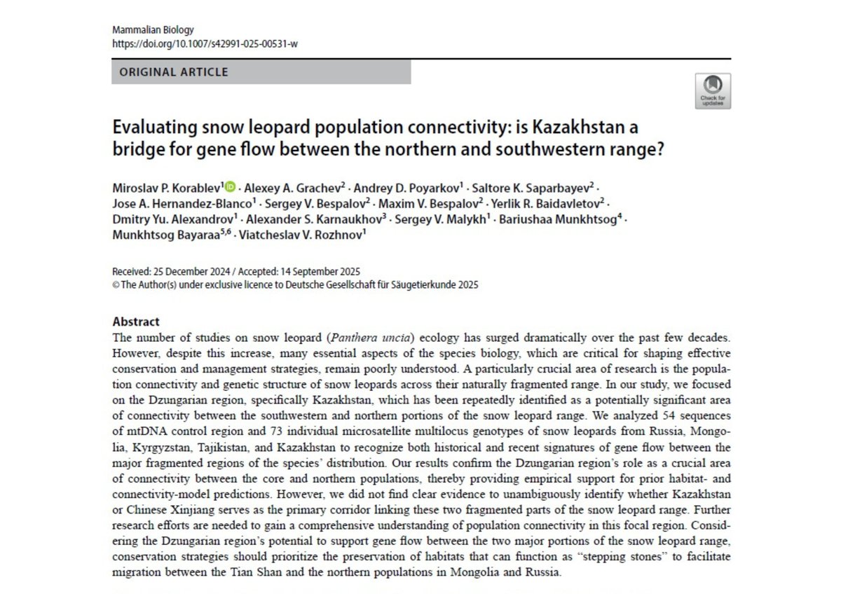 SnowLeopardNet's tweet image. The research highlights the need to protect “stepping stone” habitats, like the Dzungarian Alatau, Tarbagatai &amp;amp; Saur ranges, &amp;amp; to strengthen collaboration among Kazakhstan, China, Mongolia, and Russia to maintain #geneflow across the #snowleopard’s range.

link.springer.com/article/10.100…