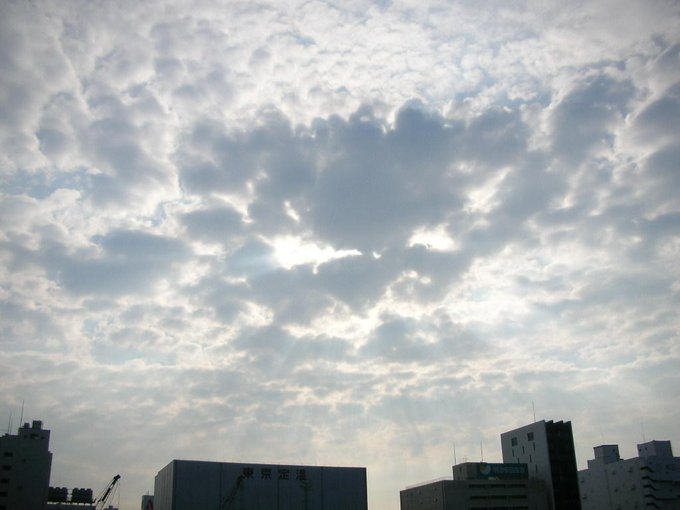 tanosiisupi_bot's tweet image. 「これどうなるんだろう・・」
モヤモヤと濁った都度、宇宙に一切を委ね、意識のメモリを空ける。
すると、事態の方から整って来る。
自分の頭では考えつかなかった解決策が訪れる。

なんのことはない。
怖れるわがエゴが、通せんぼをしていただけ。
自力しかないと思ってるからね。
#entrust #委ねる