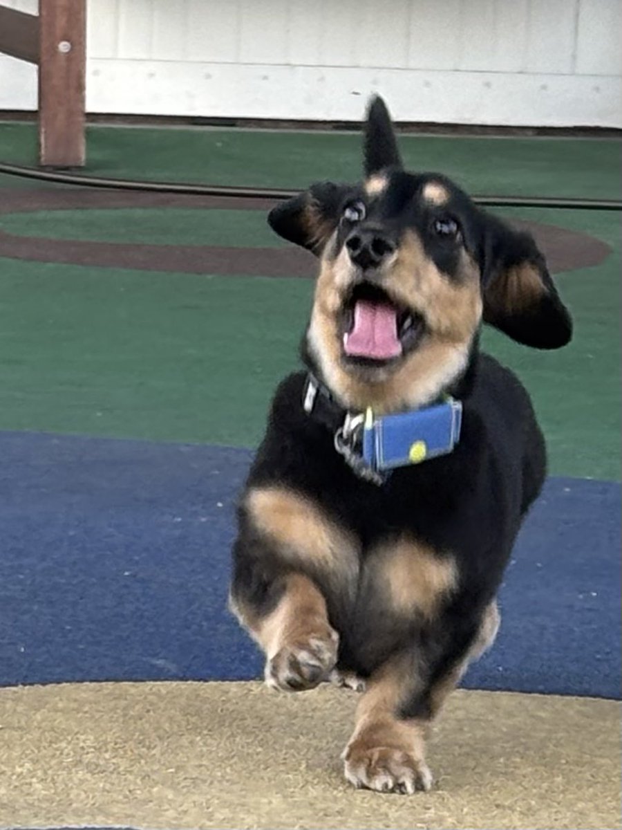 あんちゃん (@anjyu_sub) / Posts / X