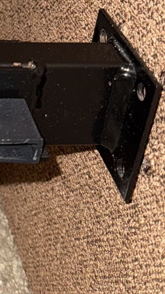 SFinBloom tweet media