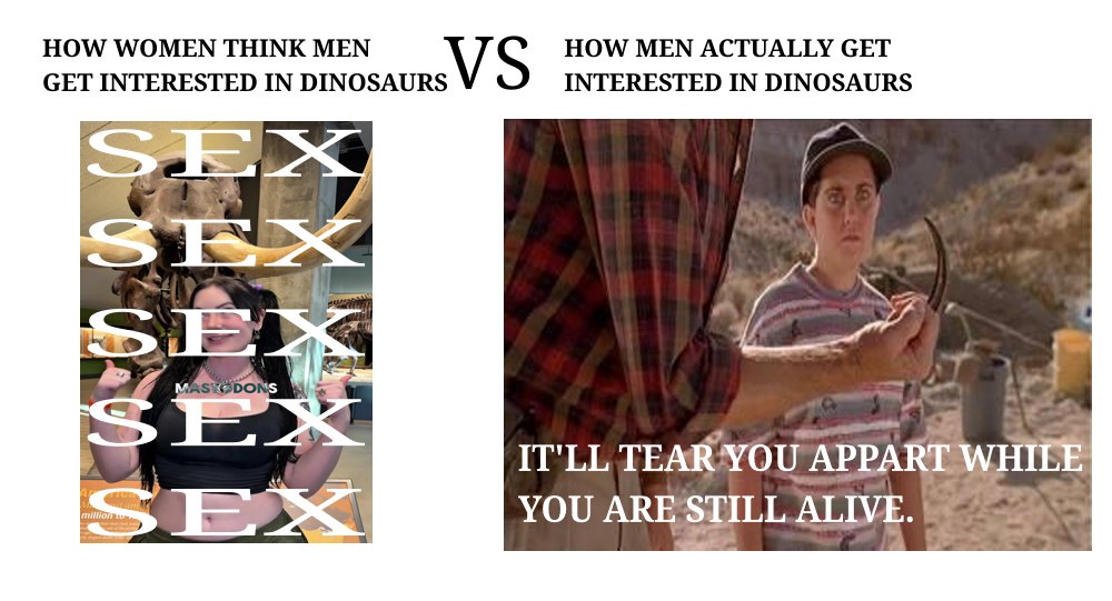 HowlingWildCard's tweet image. 