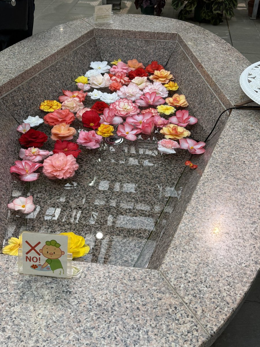 p-chan 🎶🎸🥐🍞🥨🥖 on X