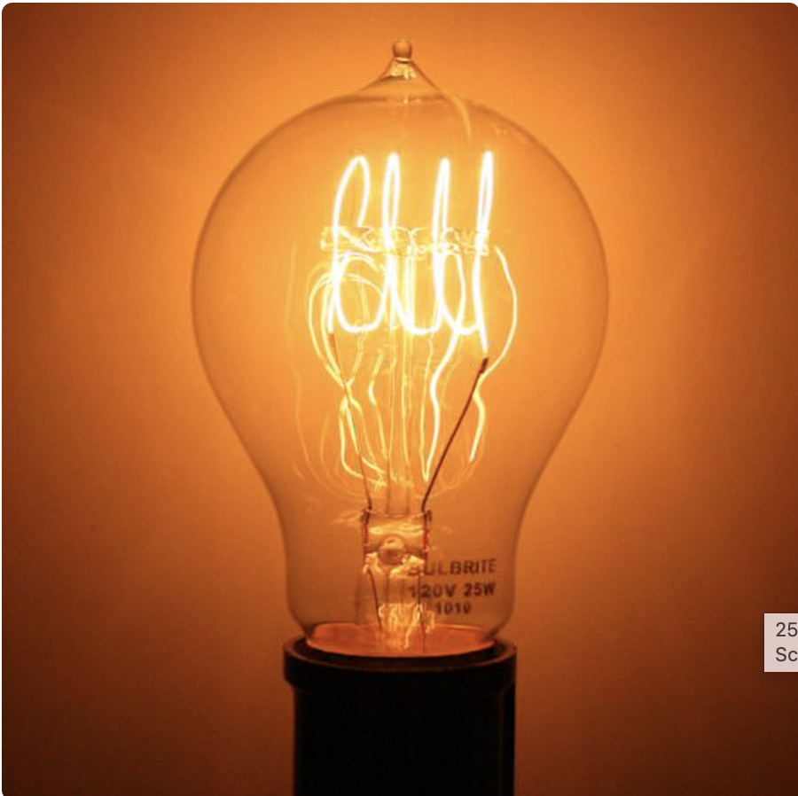 I've tested dozens of incandescent bulbs, and this is my favorite. 25W. 2200K. Beautiful antique Edison filament design.

lightbulbs.com/product/satco-…