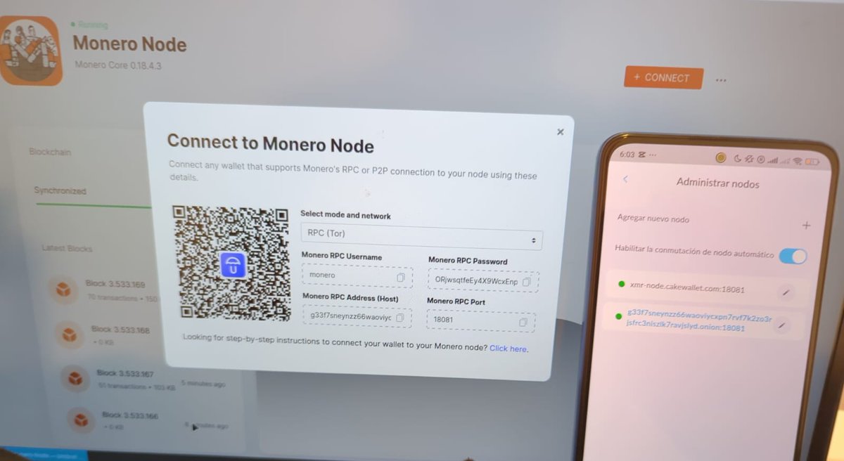 escuelitabtc's tweet image. My @monero node is synchronizing and connected to @cakewallet. I’d be very grateful if the community could teach me how to give it a name and make it public safely, so that anyone who wants can connect to it.
@sethforprivacy