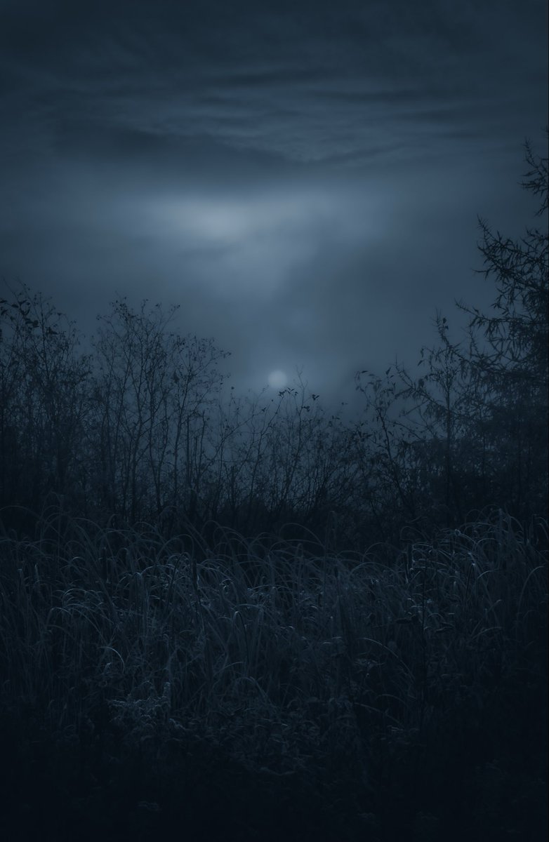 Loki Highlock (@lokihighlock) on Twitter photo 