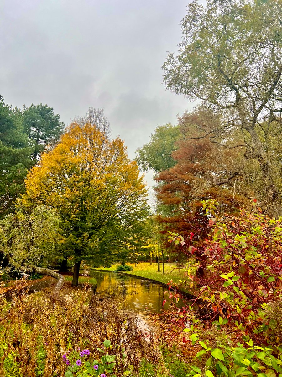 The Friends of Sefton Park tweet media