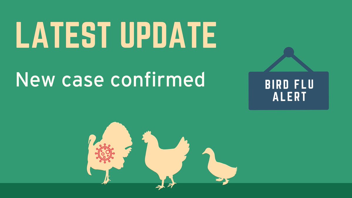 Highly pathogenic avian influenza H5N1 has been confirmed at a premises near Milford Haven, Pembrokeshire. All bird keepers must remain vigilant and follow stringent biosecurity measures, as required by the AIPZ, to prevent future outbreaks: gov.wales/avian-influenz…