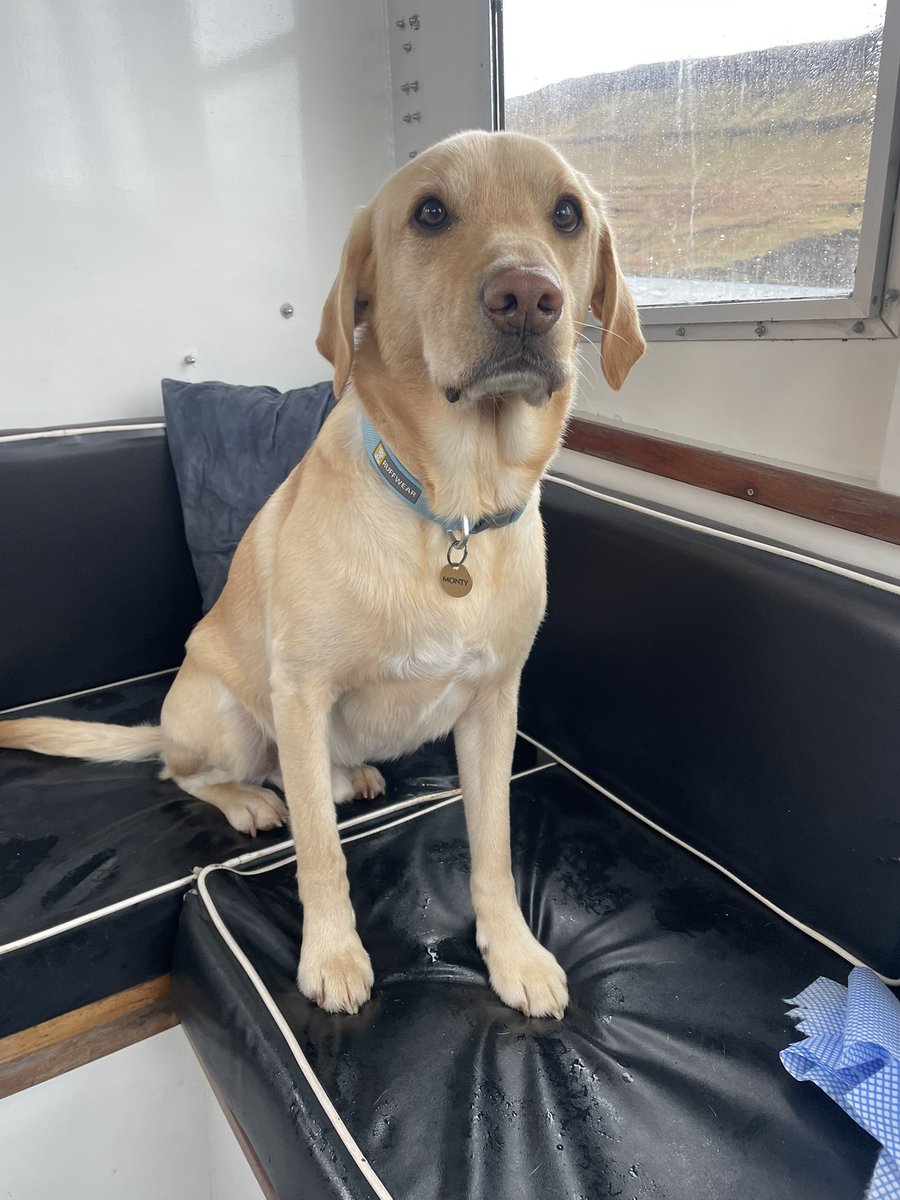 Martin Keivers tweet media