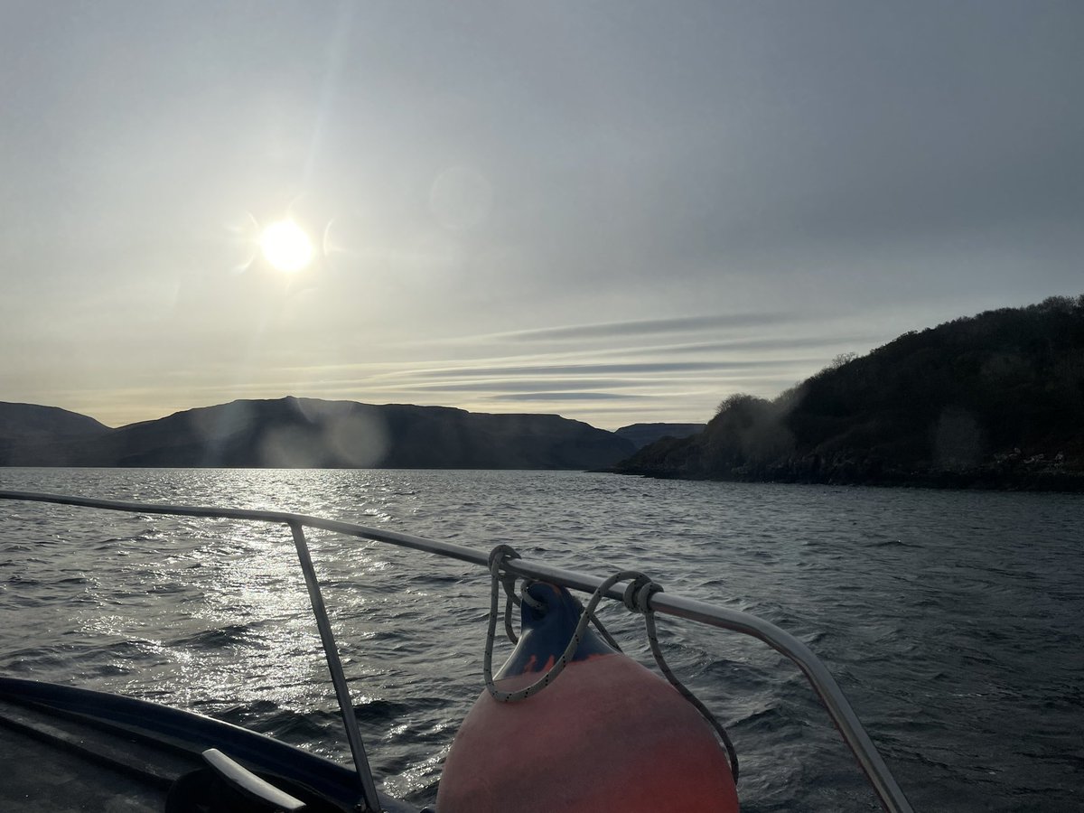 Martin Keivers tweet media