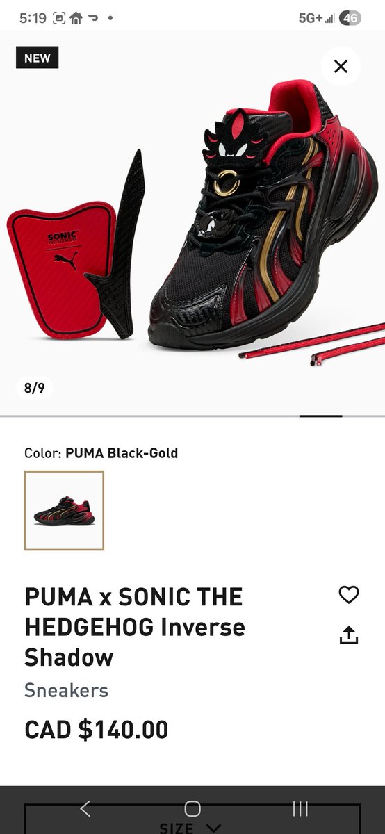 ZTPI7's tweet photo. @NemRaps Would you pay 140(CAD) golden rings for a pair of these? https://t.co/Lqw3IsPQOD