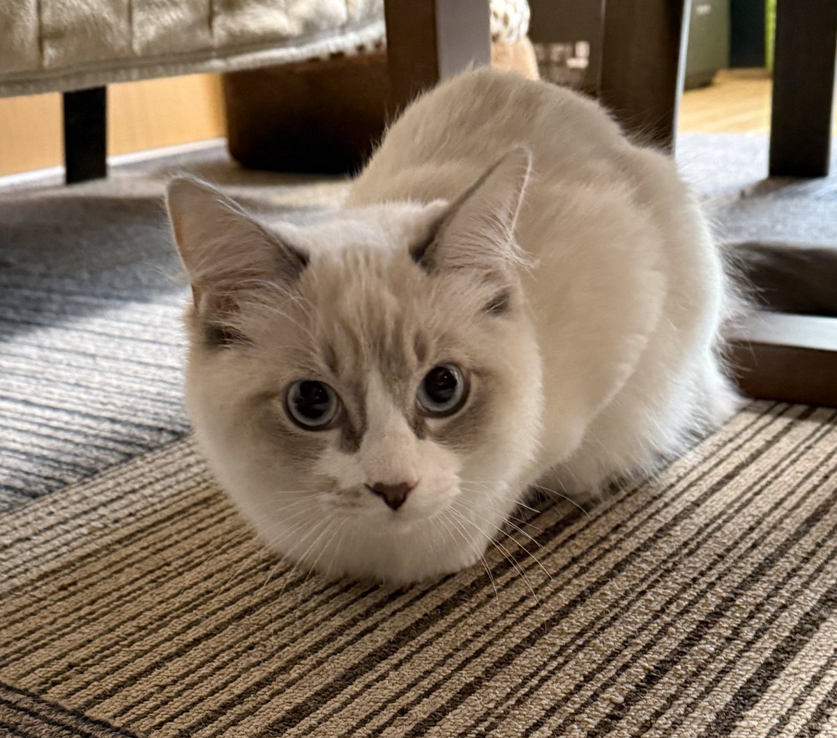 まーくん a.k.a まんくん (@makyoslash) / Posts / X