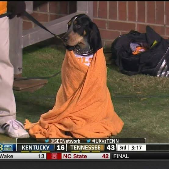 GhostNeyland's tweet image. Smokey X will forever be a legend