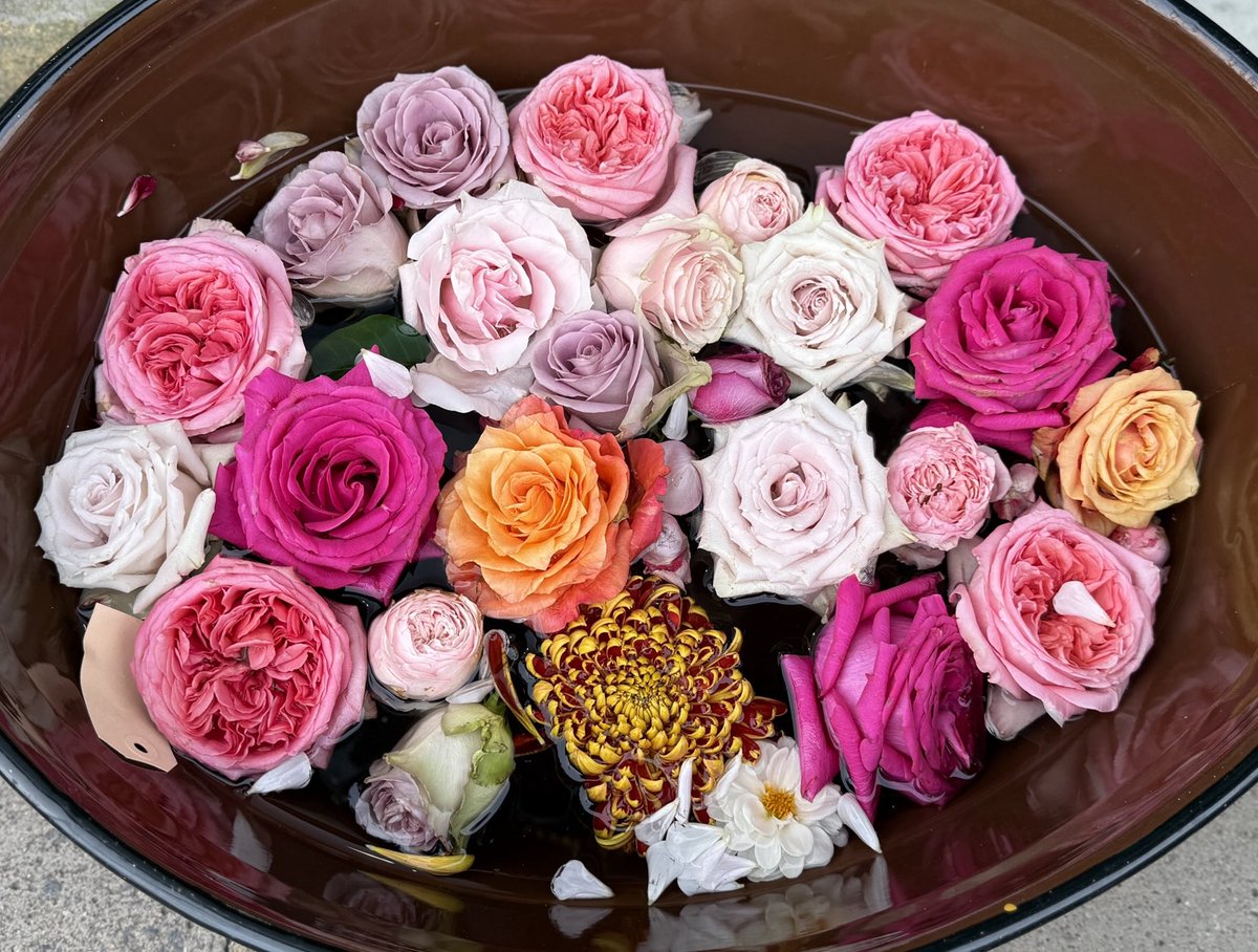 30.10.25 Bramble &amp; Moss, Richmond