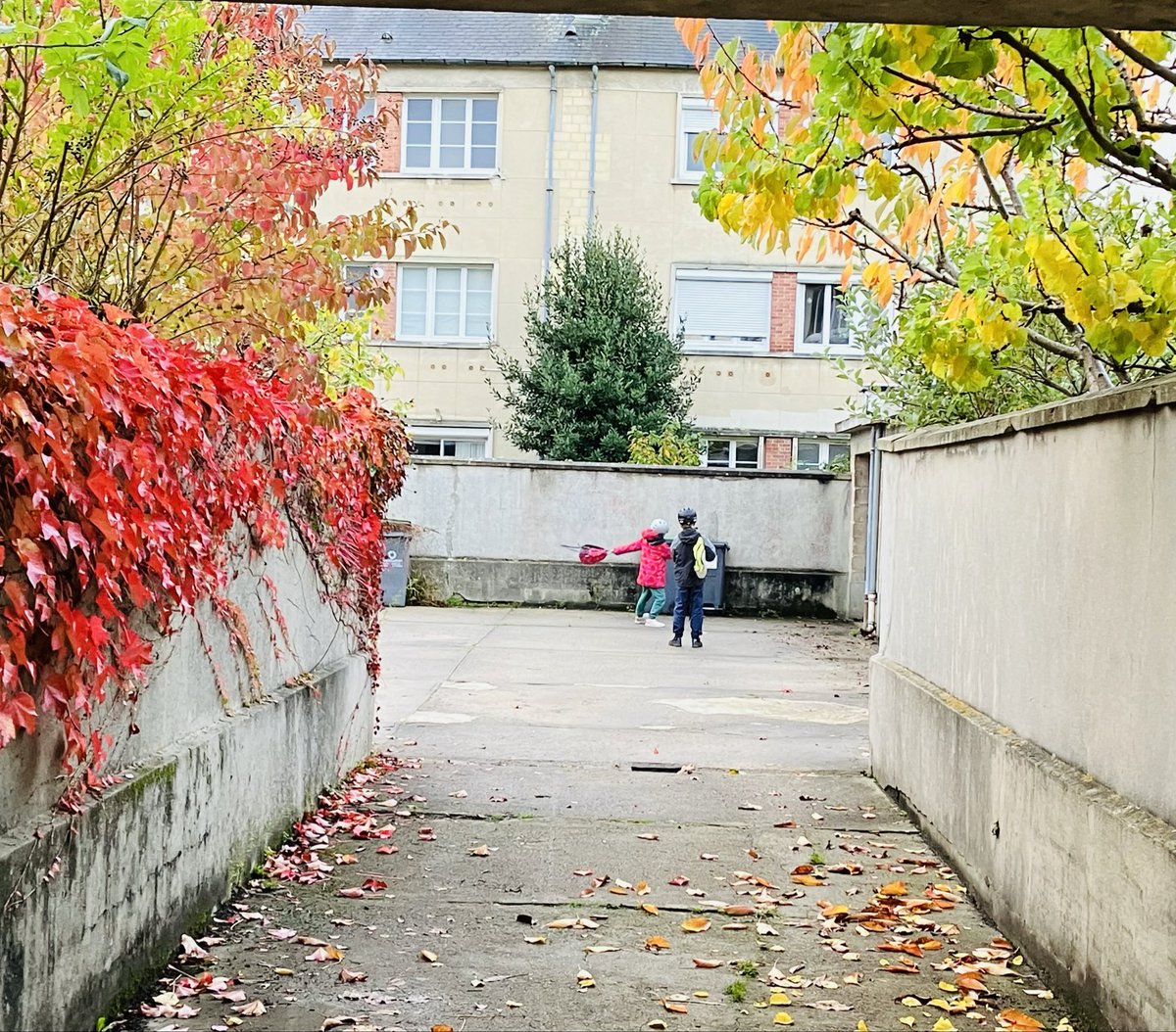 🍂 Couleurs d’automne à #caen
