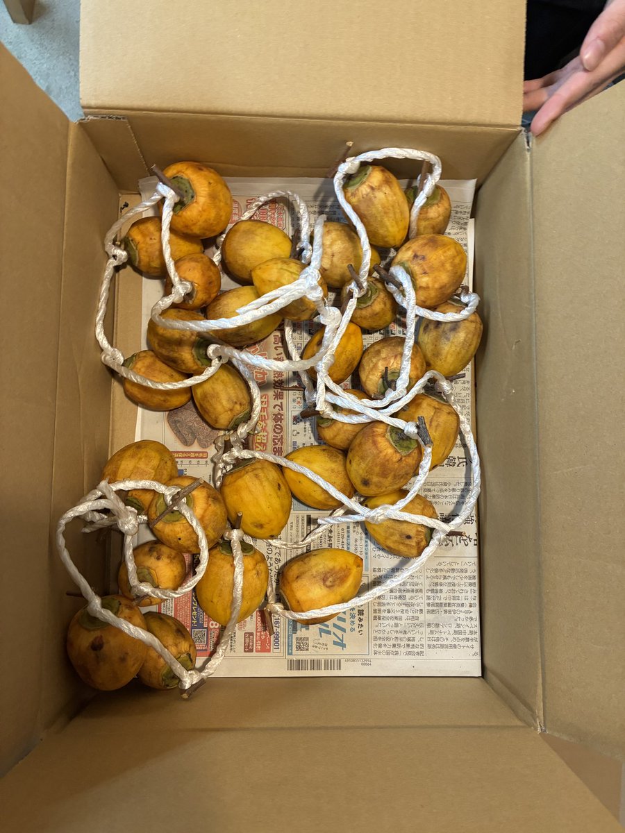 the___pier's tweet photo. 心に余白が出てくると、より色が鮮やかに見える。やっとお花も買えた、嬉しい。なだらかな日々が長続きしますように、 https://t.co/28Vu4NkBHV
