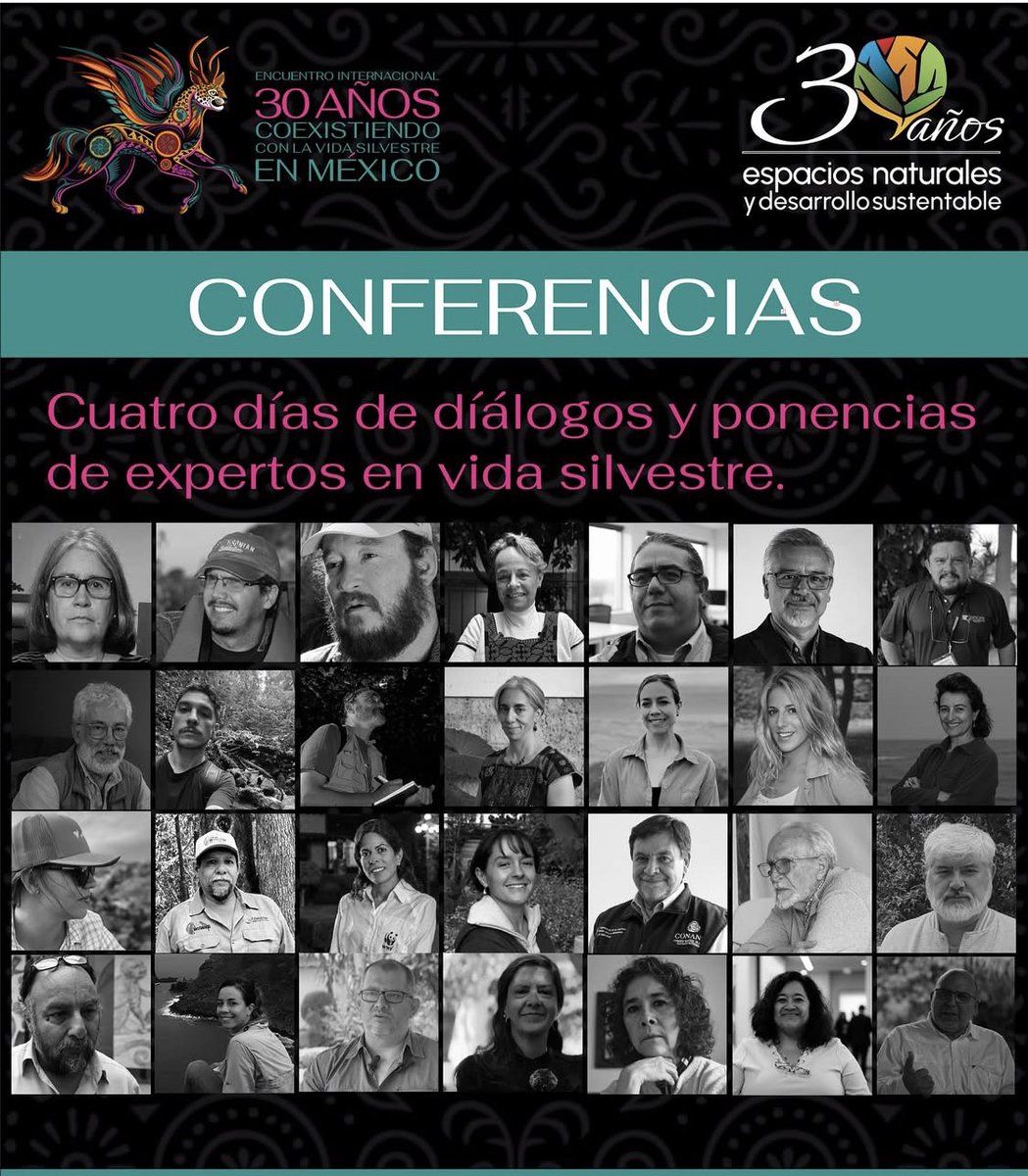 El sábado 8 de noviembre a las 10 h charlaré con mi zoólogo escritor favorito <a href="/cotahiriart/">andresCOTA</a> sobre la conservación como valor biocultural en México y de nuestra coexistencia con otras especies 🫶🏽

🐆🐊🐙🦋🦎🦀🐝🐍🕷️🦂🐬

Pueden registrarse aquí 👉  coexistencia.endesu.org.mx