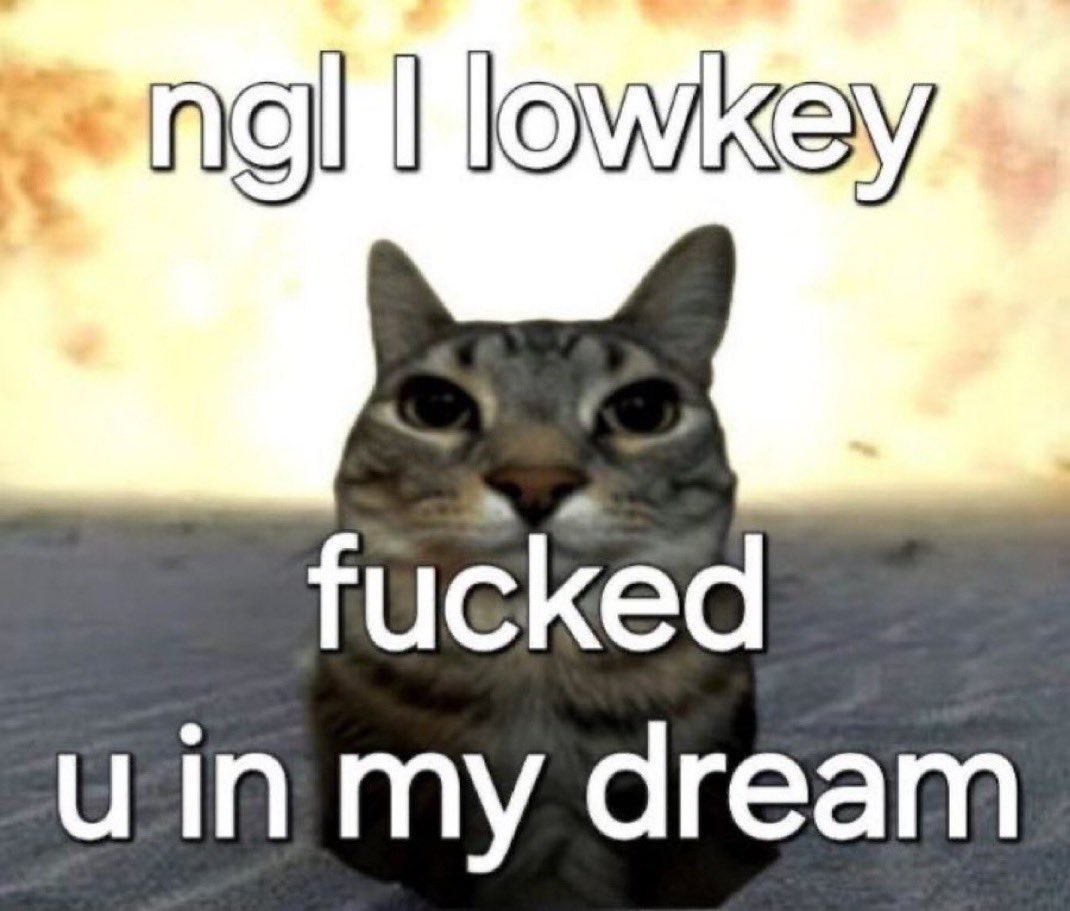 fish (@baggedsallid) on Twitter photo 