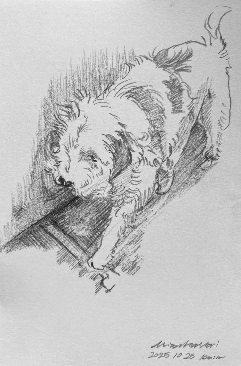 もりみずは🎨アニマルプラネット2025 on X