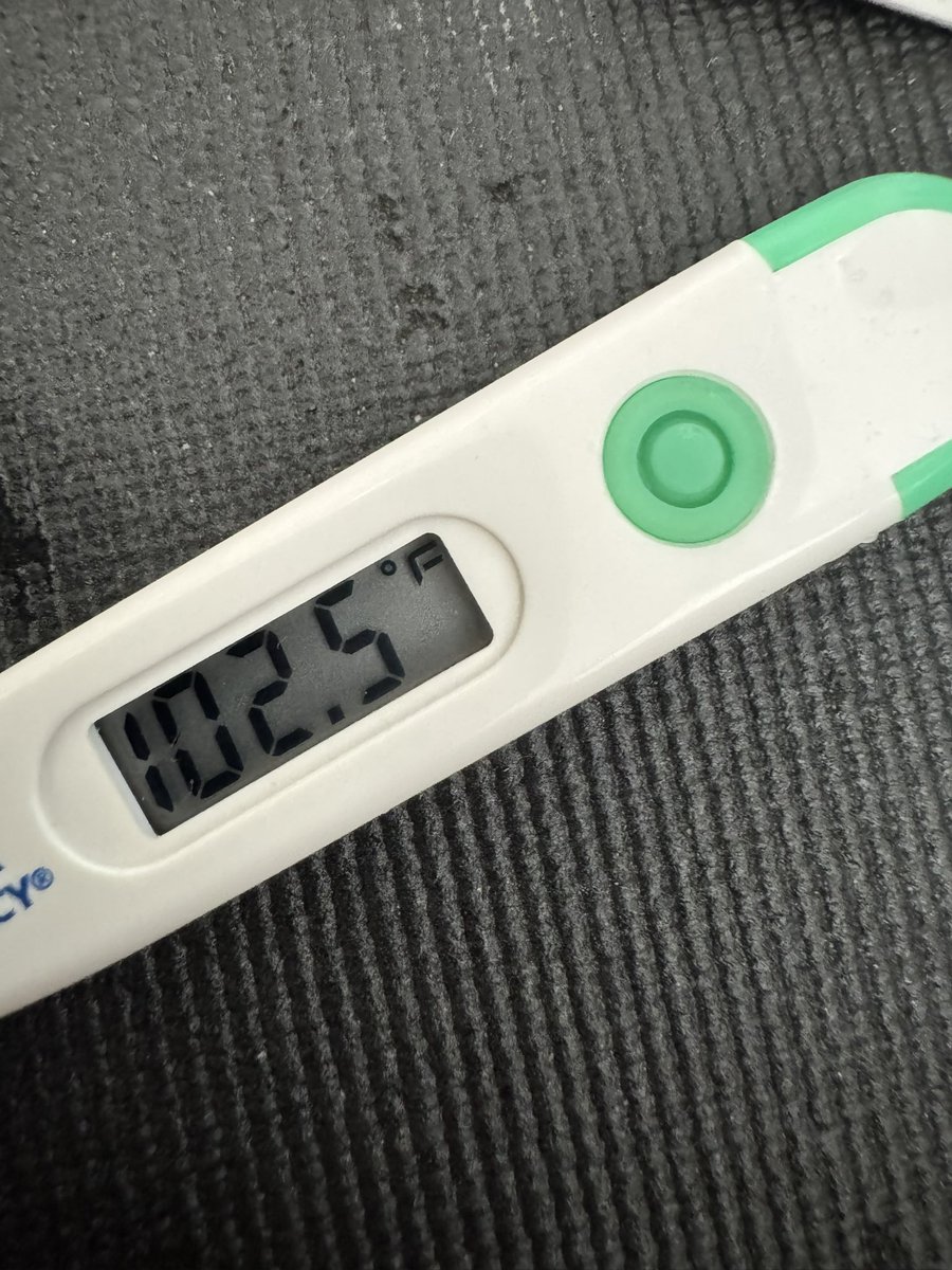 ShaShu📷🌸 tweet media