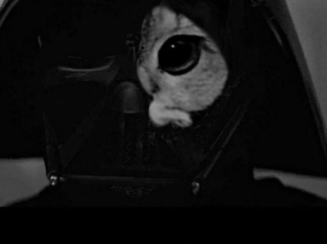 Villain arc.

Focus.