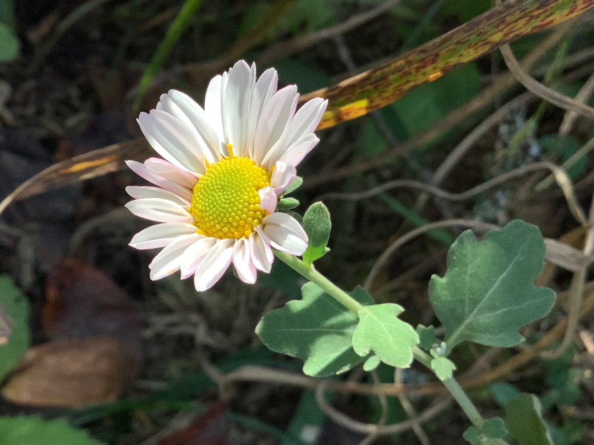 怪物＠プロフ確認お願い致しますページ kaz@プロフ確認お願いします様 リクエスト 3点 まとめ商品