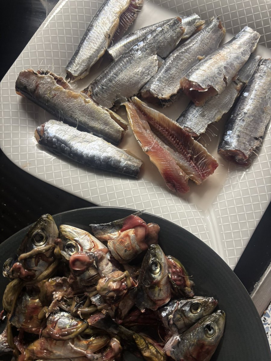 schere's tweet image. 