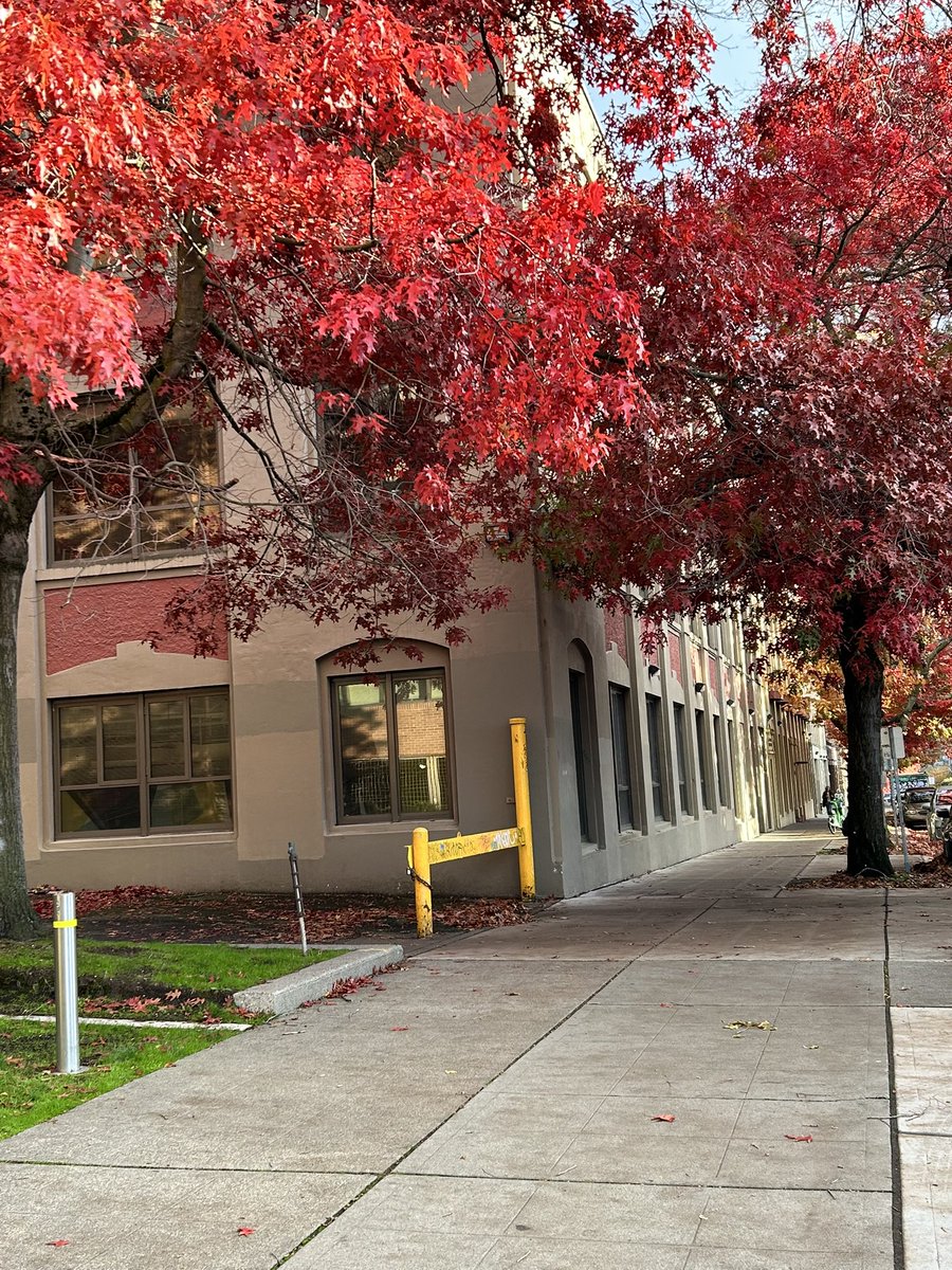 Vera🚦🍉 🌱 tweet media