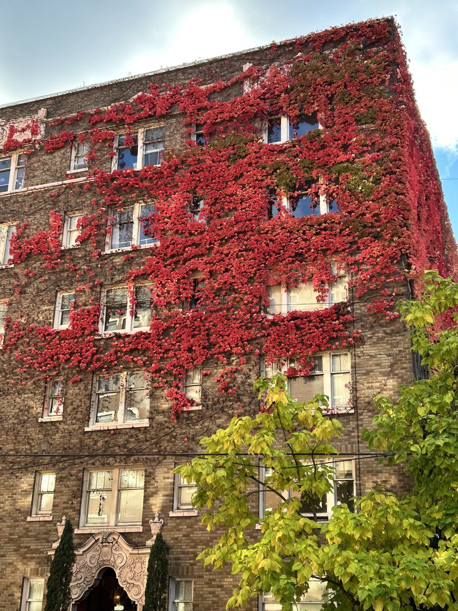 Vera🚦🍉 🌱 tweet media