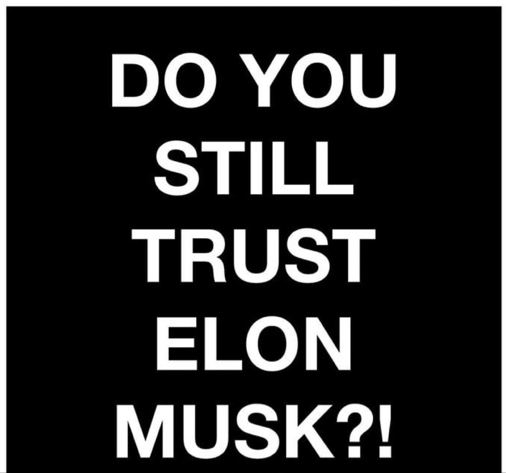 ProElonProTrump's tweet image. I Do.. Do you?