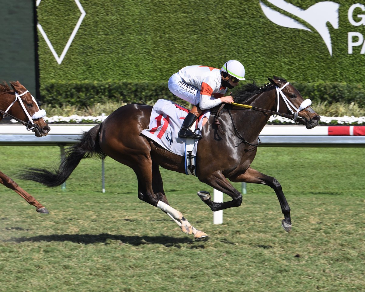 Wishing #InglisDigitalUSA grad, Bellavinino, a safe and winning trip in tomorrow's Cellars Shiraz Stakes at Gulfstream Park. 🍀 

<a href="/SaffieJosephJr/">Saffie Joseph Jr.</a>