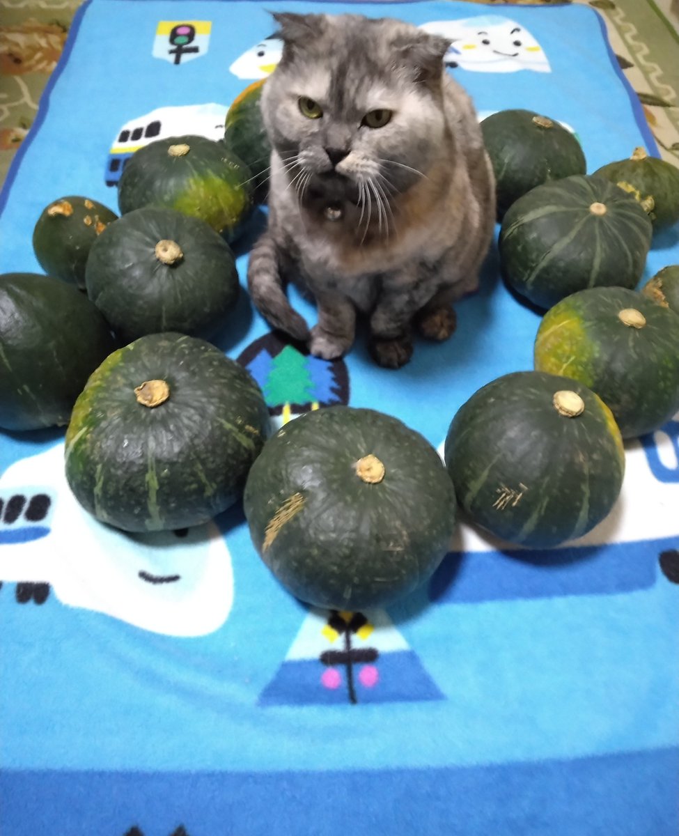 来夢 (@k2kBcTiP82T4D13) / Posts / X