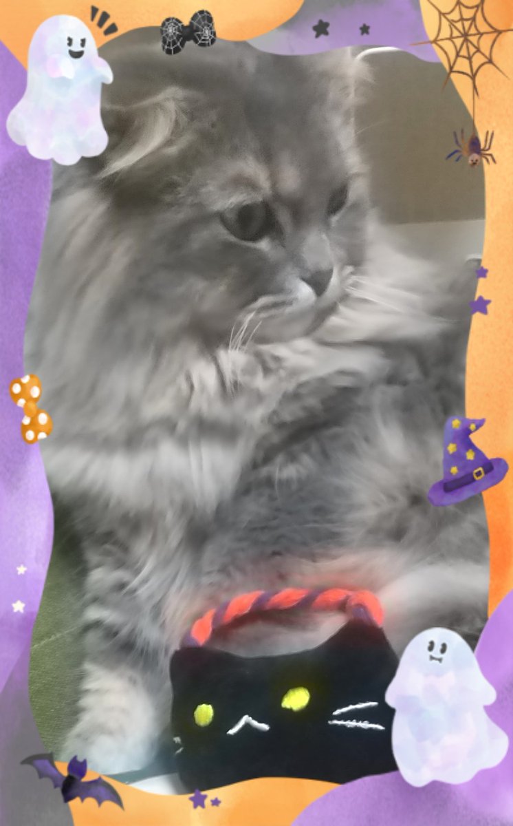 みきゃん様 Amazon | WMYCONGCONG 50個 リンチピン 4.5x36mm 6x45mm 8x45mm