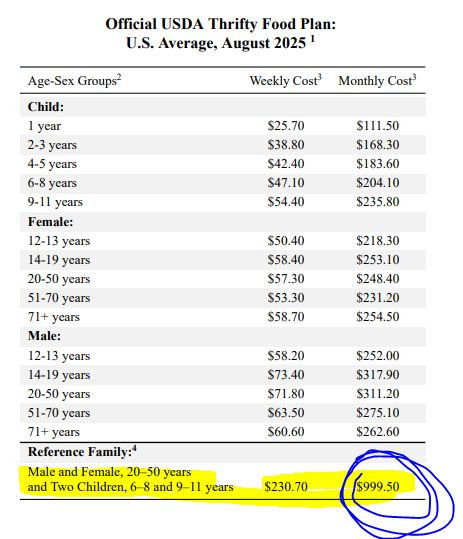 Erica Wilkinson 🍉 tweet media