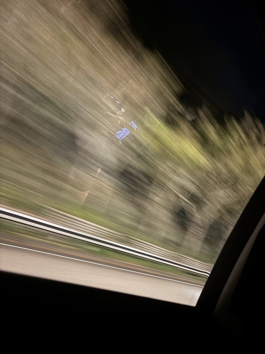 HUGOLEUNG@TRINIDAD tweet media